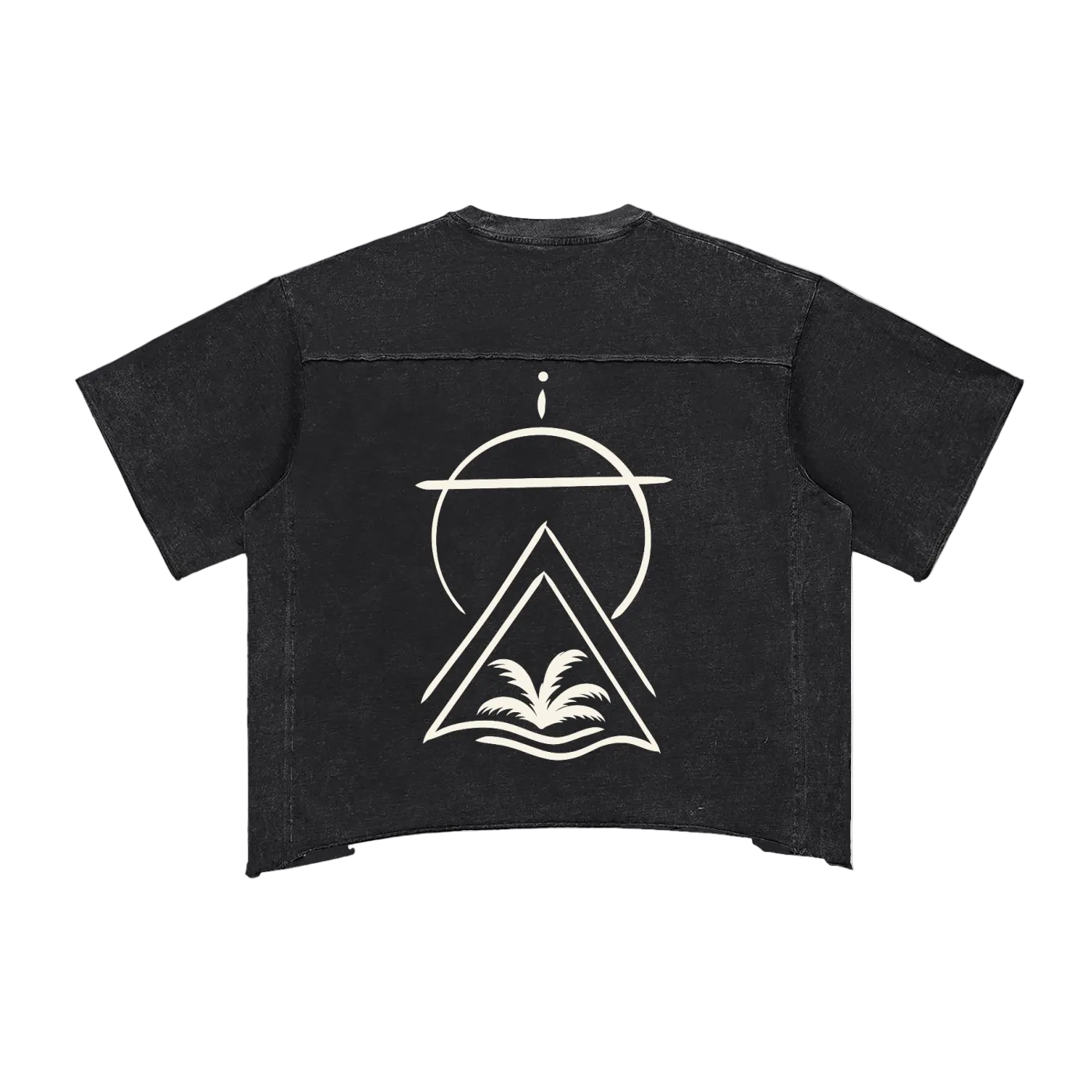 Sacred Seal Boxy Vintage Tee