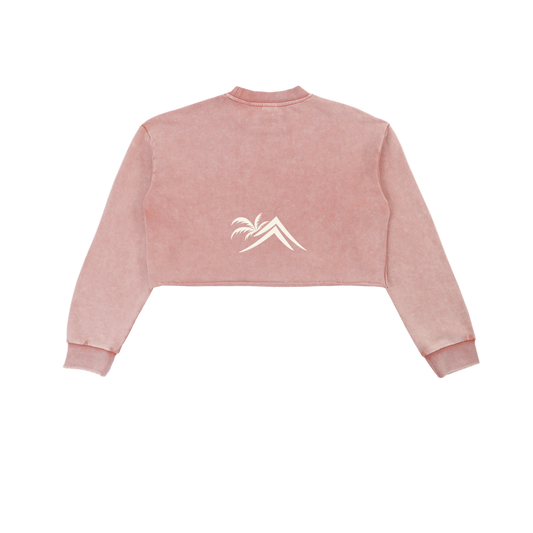 Sacred Seal Vintage Cropped Sweatshirt