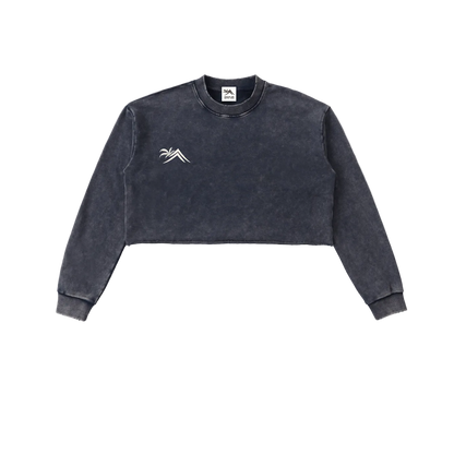 Sacred Seal Vintage Crop Long Sleeve