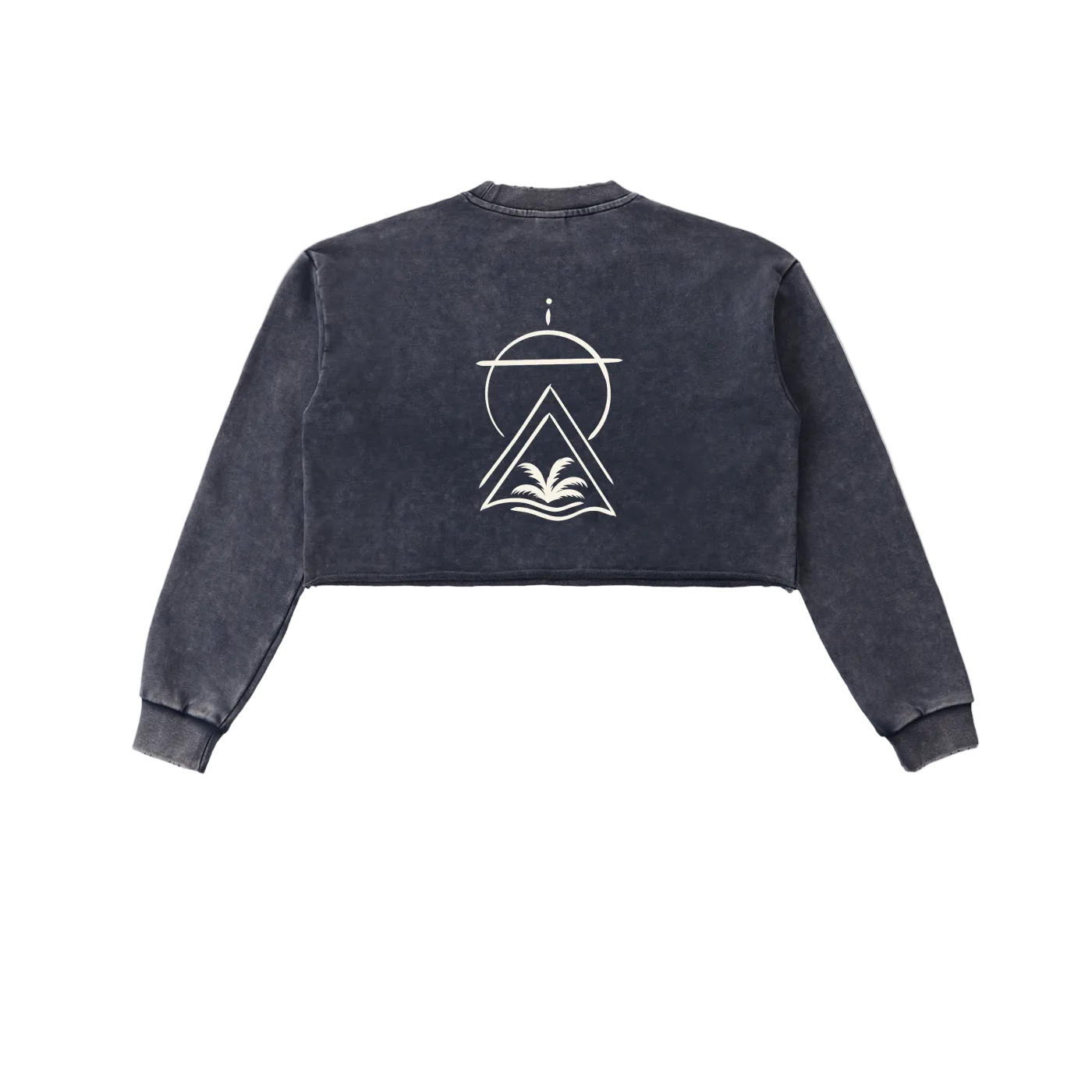 Sacred Seal Vintage Crop Long Sleeve