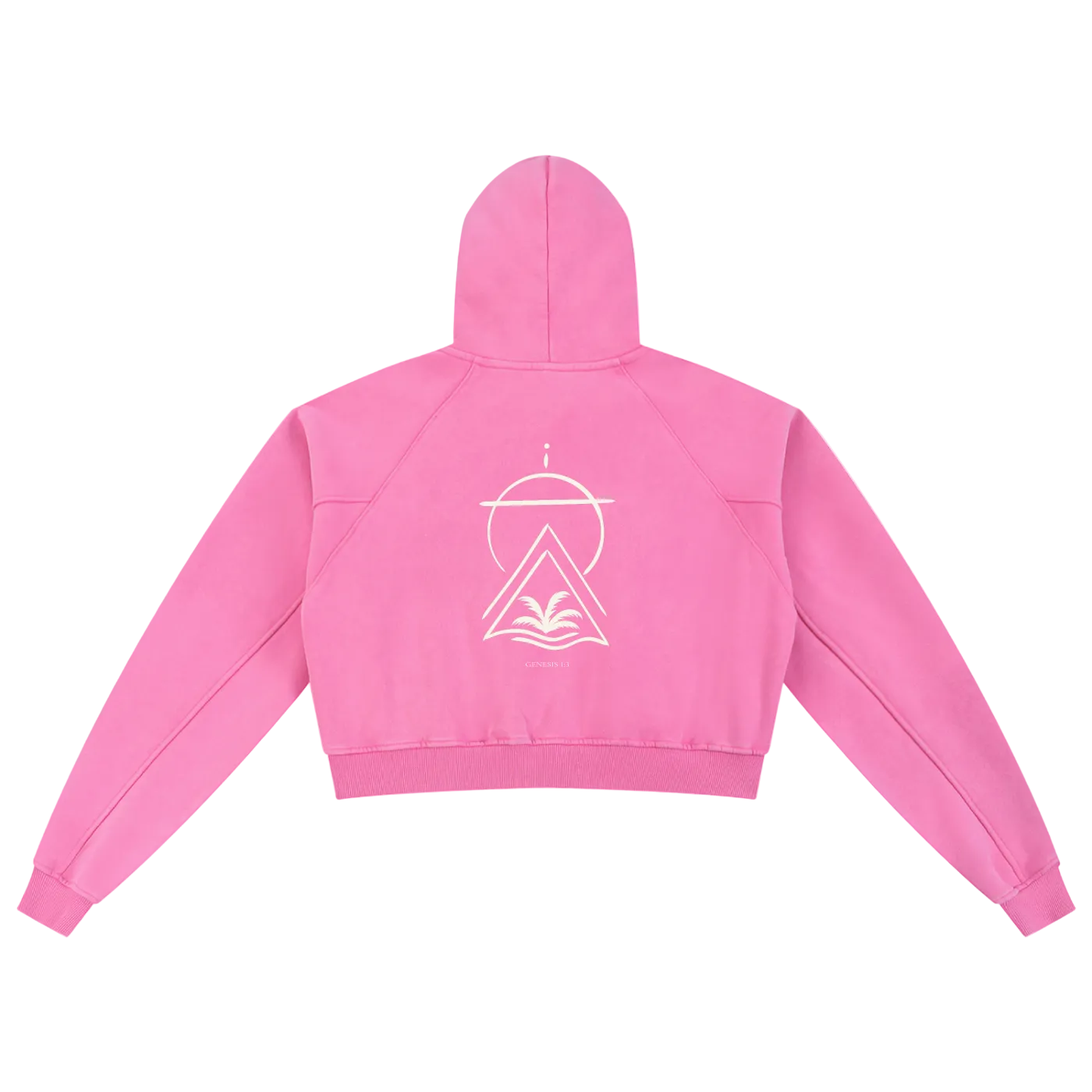 Truth Over Culture Vintage Crop Hoodie