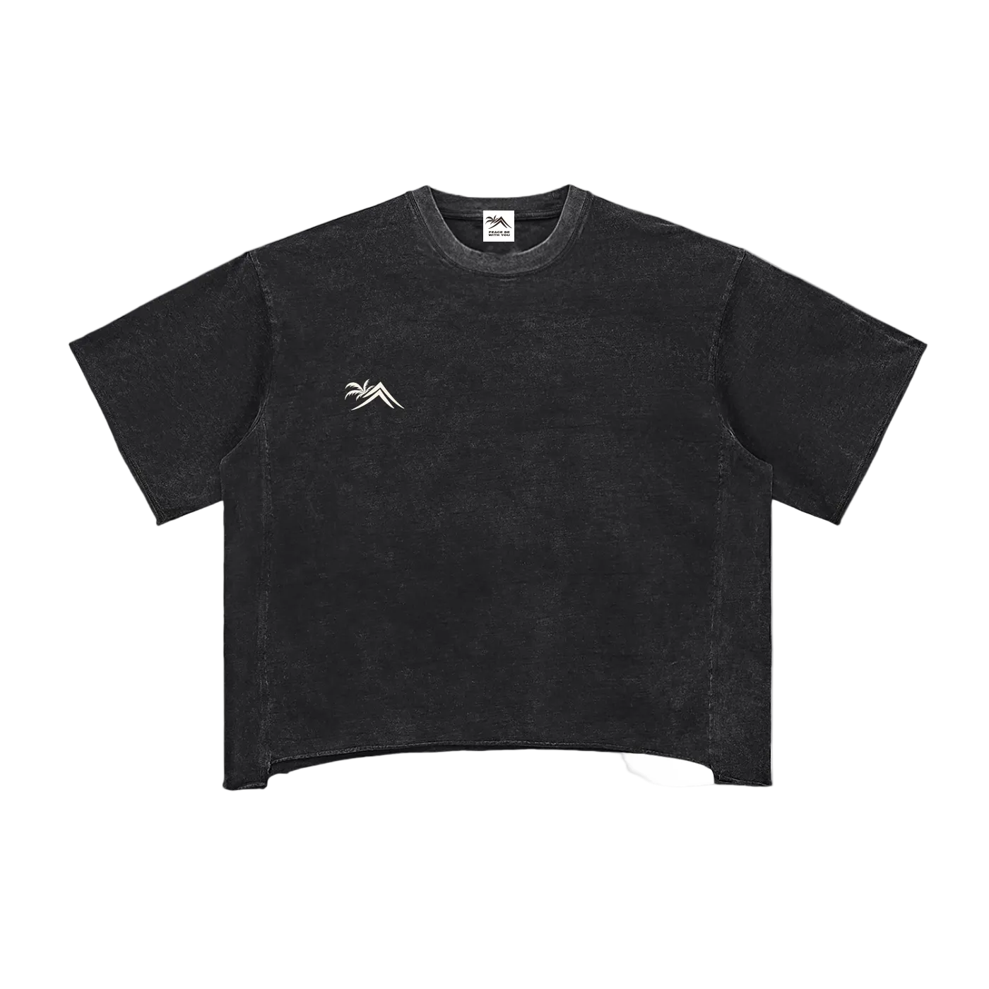 Sacred Seal Boxy Vintage Tee