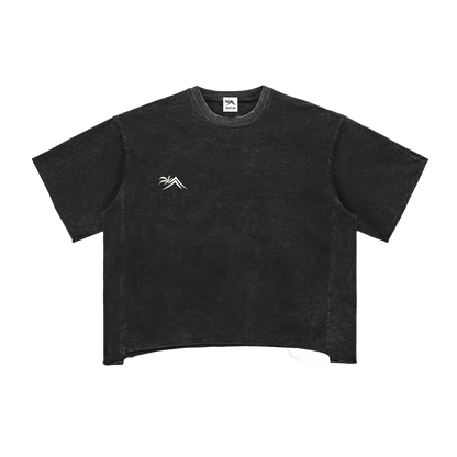 Sacred Seal Boxy Vintage Tee