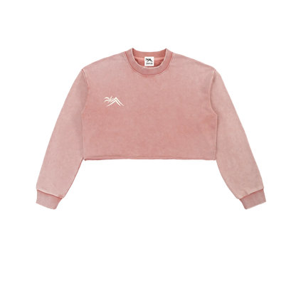 Sacred Seal Vintage Crop Long Sleeve