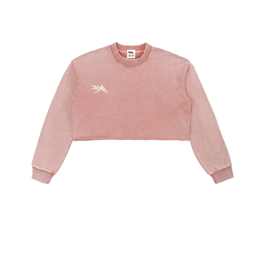 Sacred Seal Vintage Crop Long Sleeve