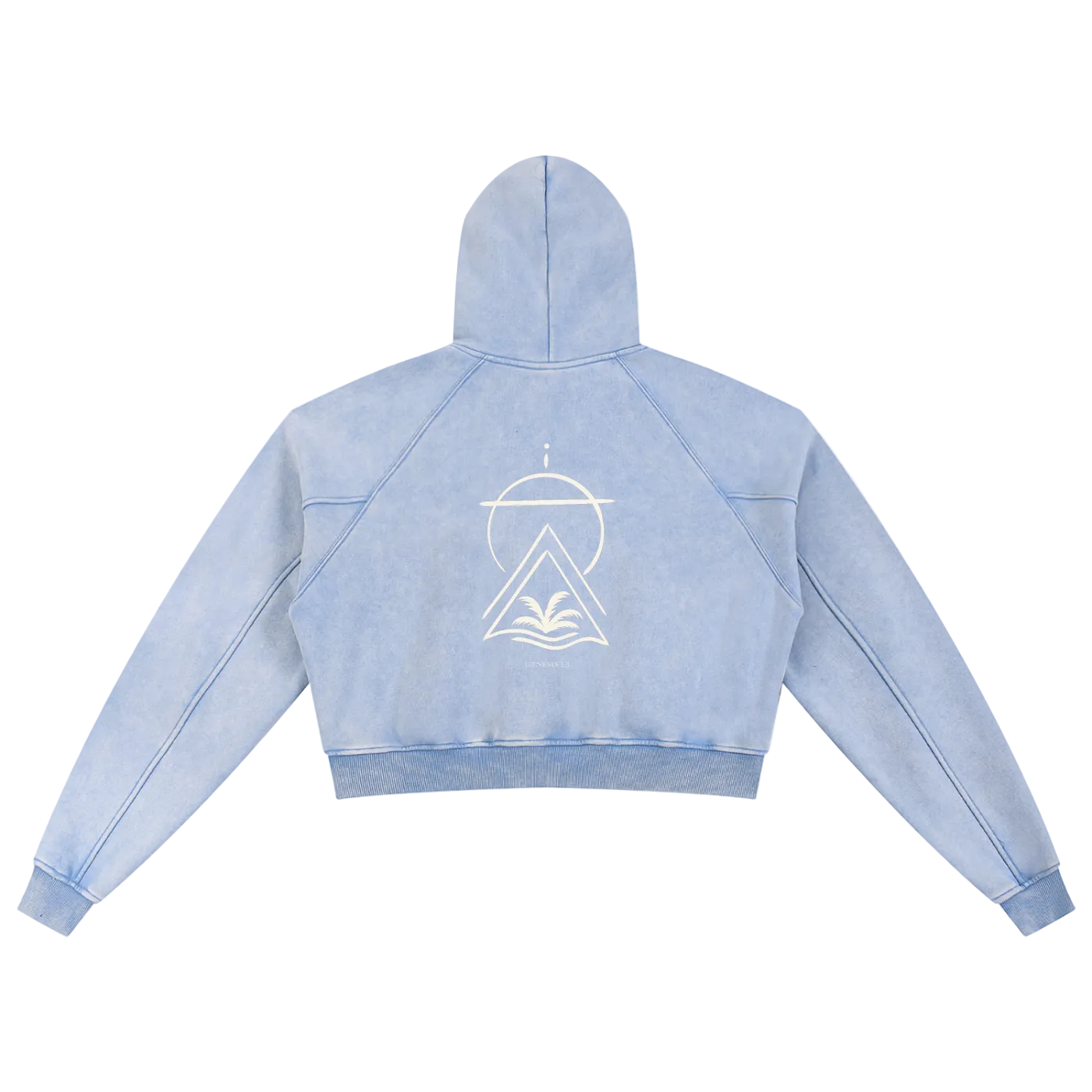 Truth Over Culture Vintage Crop Hoodie