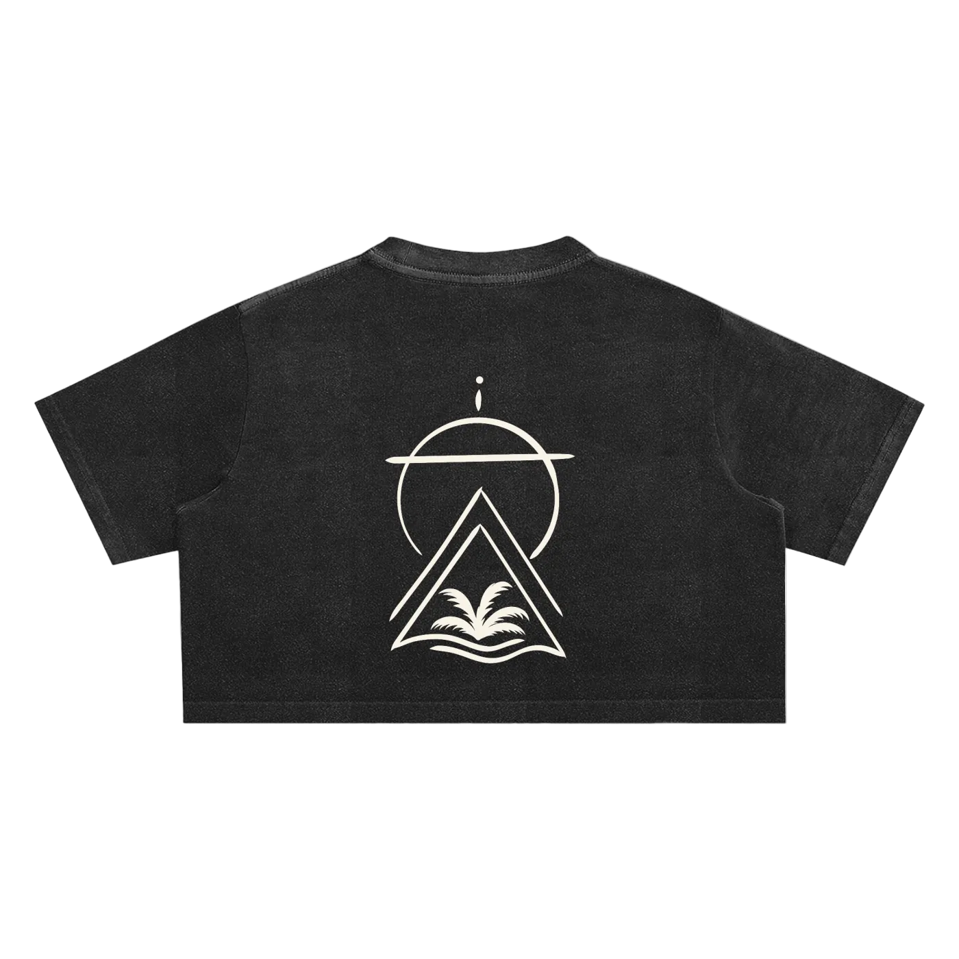 Truth Over Culture Vintage Crop