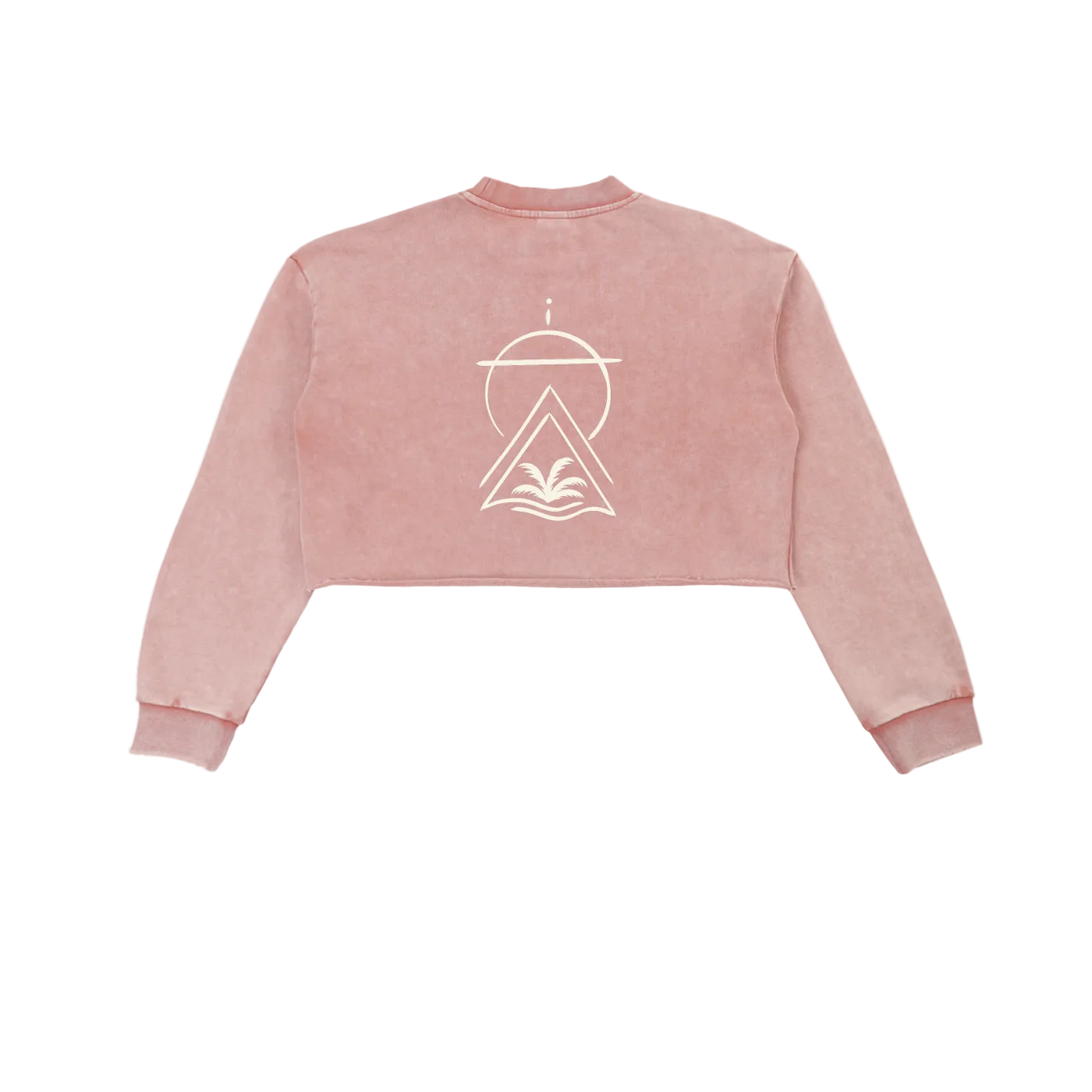 Sacred Seal Vintage Crop Long Sleeve