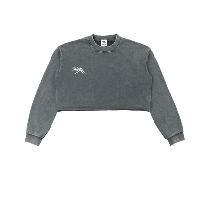 Sacred Seal Vintage Crop Long Sleeve