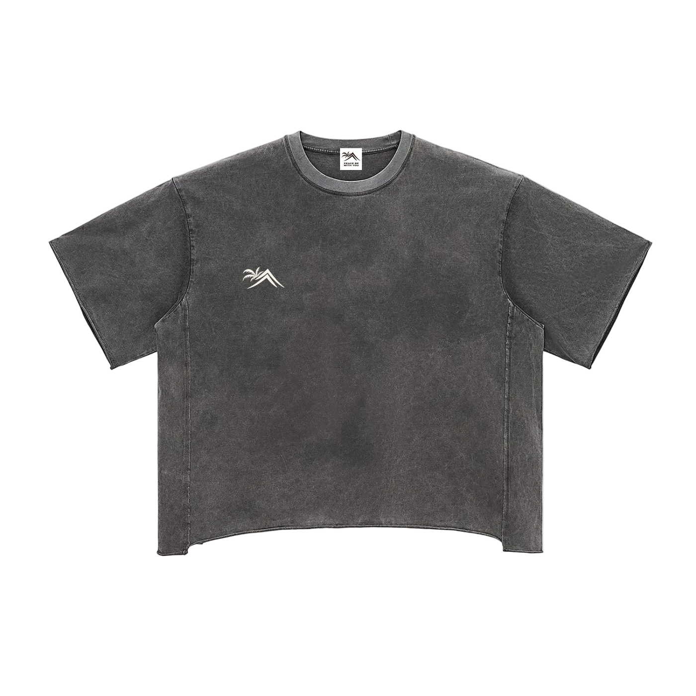 Sacred Seal Boxy Vintage Tee