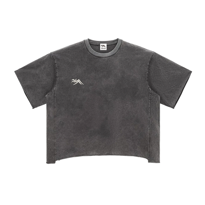 Sacred Seal Boxy Vintage Tee