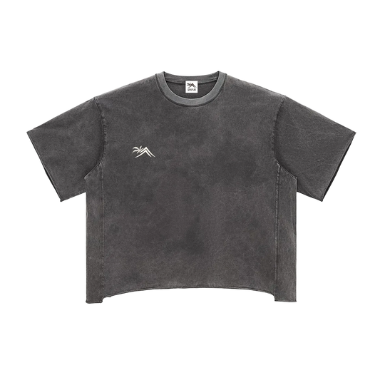 Sacred Seal Boxy Vintage Tee