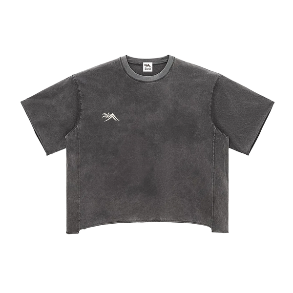Sacred Seal Boxy Vintage Tee