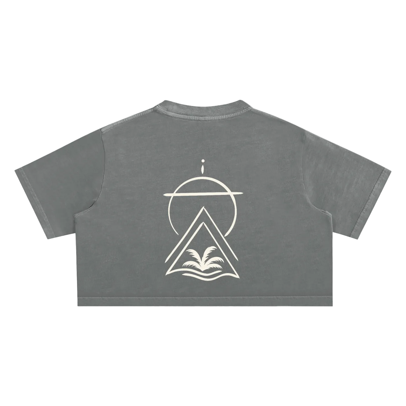 Truth Over Culture Vintage Crop