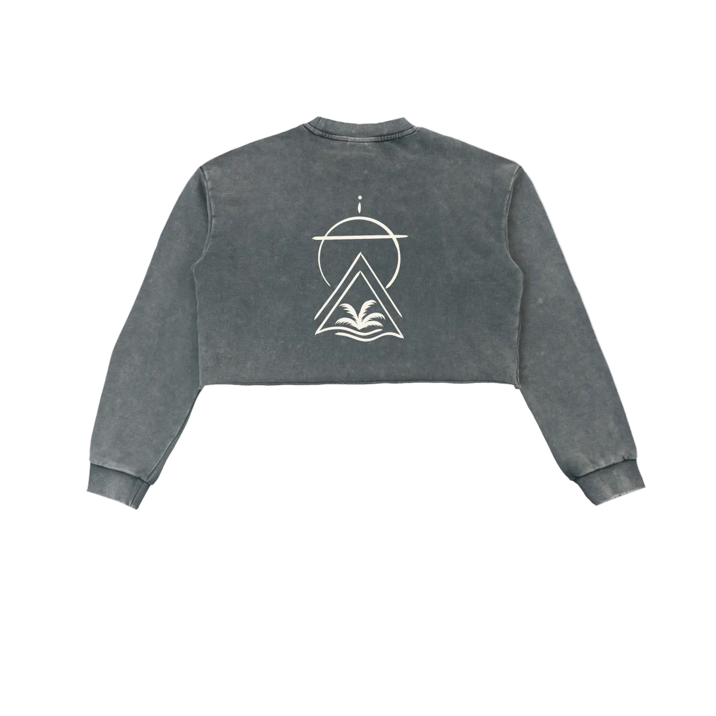 Sacred Seal Vintage Crop Long Sleeve