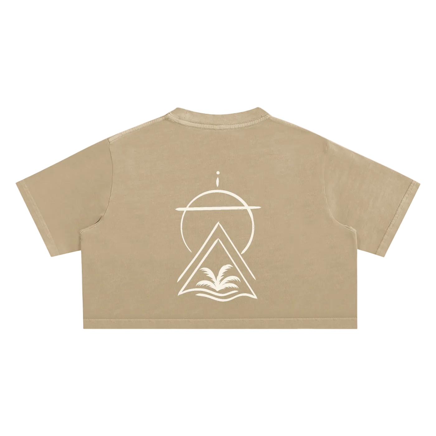 Truth Over Culture Vintage Crop