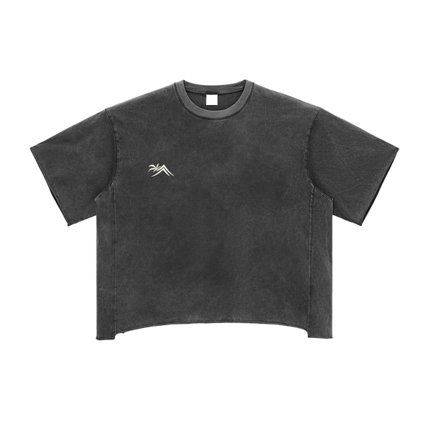 Sacred Seal of Life Vintage Boxy T-Shirt