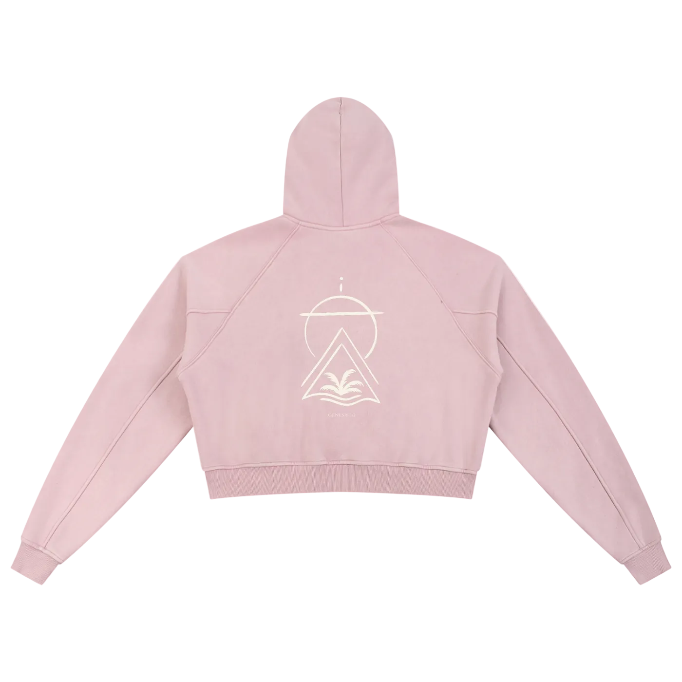 Truth Over Culture Vintage Crop Hoodie