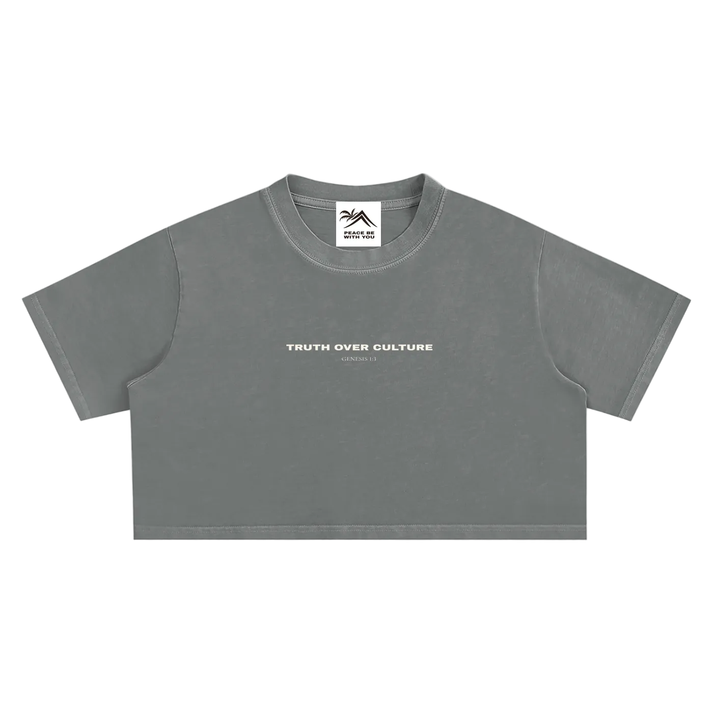 Truth Over Culture Vintage Crop