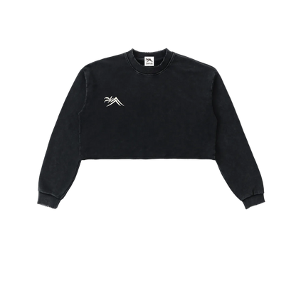 Sacred Seal Vintage Crop Long Sleeve