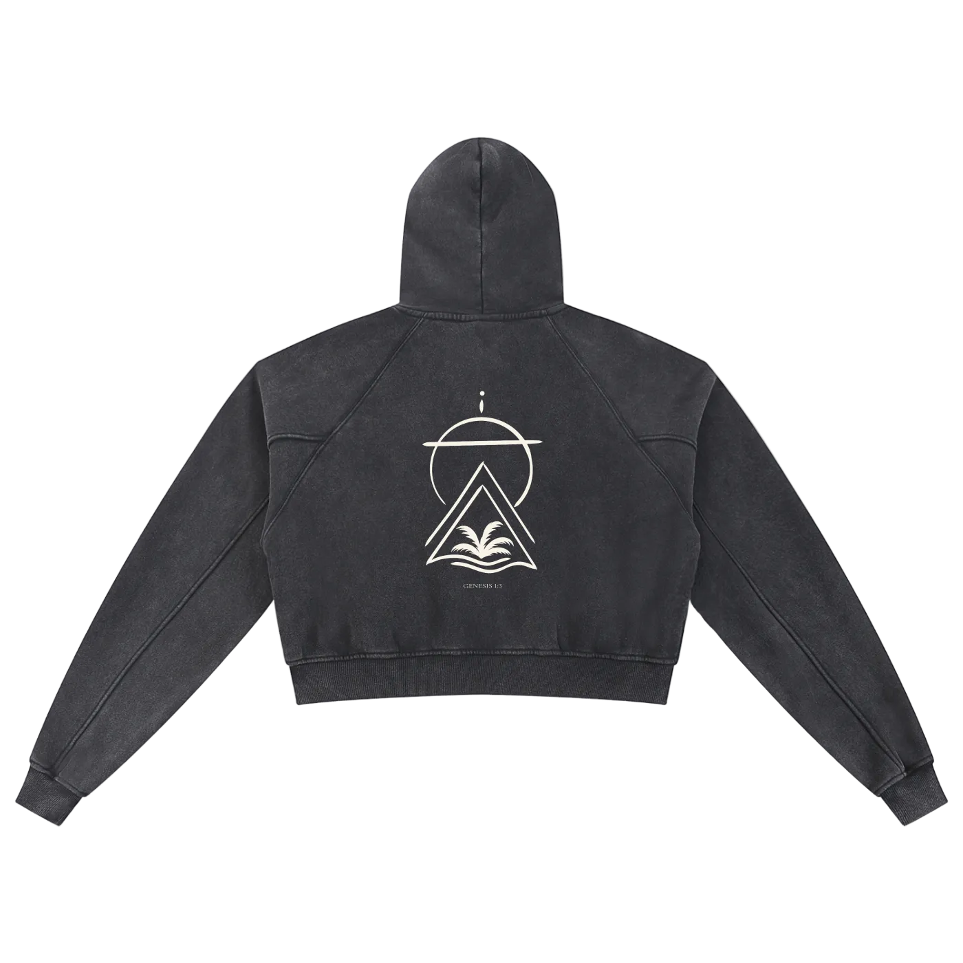 Truth Over Culture Vintage Crop Hoodie