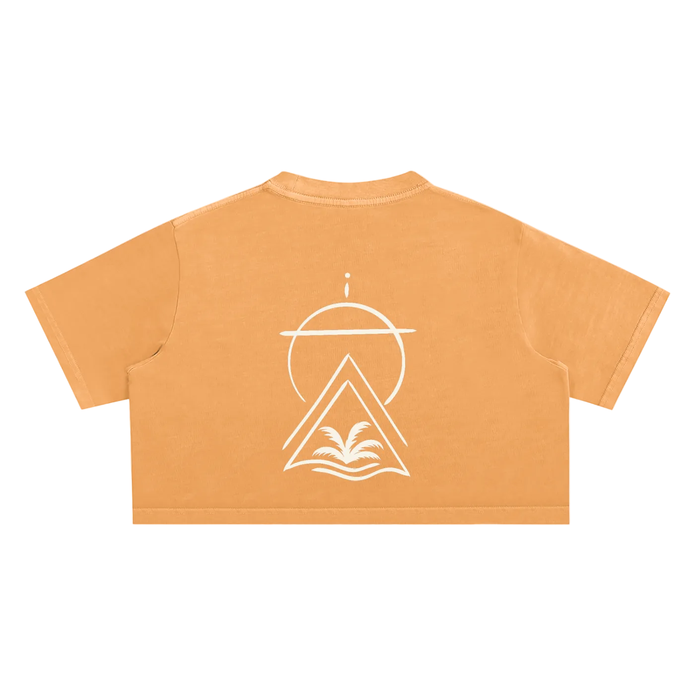 Truth Over Culture Vintage Crop