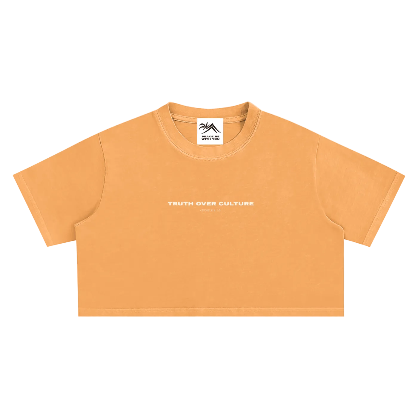 Truth Over Culture Vintage Crop