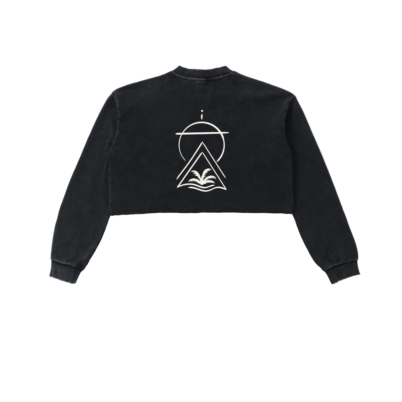 Sacred Seal Vintage Crop Long Sleeve