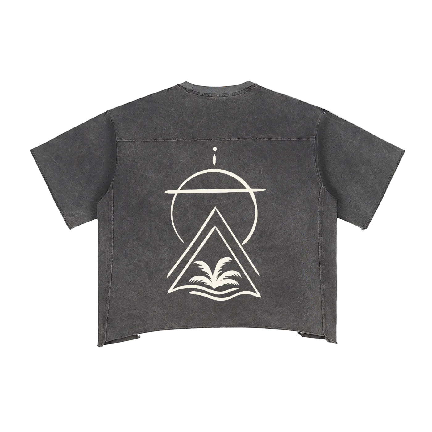 Sacred Seal Boxy Vintage Tee